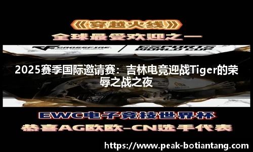 2025赛季国际邀请赛：吉林电竞迎战Tiger的荣辱之战之夜
