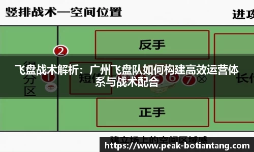 飞盘战术解析：广州飞盘队如何构建高效运营体系与战术配合